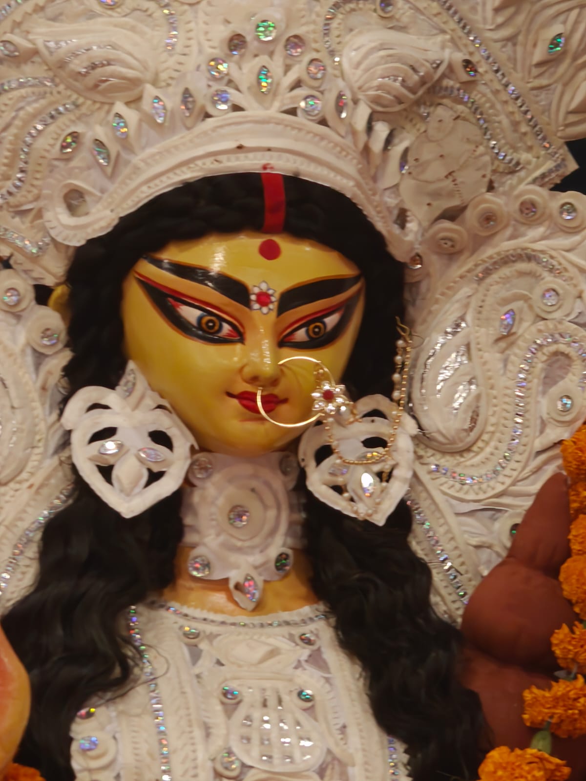 Durga Puja celebration at Rajnagar Extension